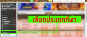 แทงมวยออนไลน์